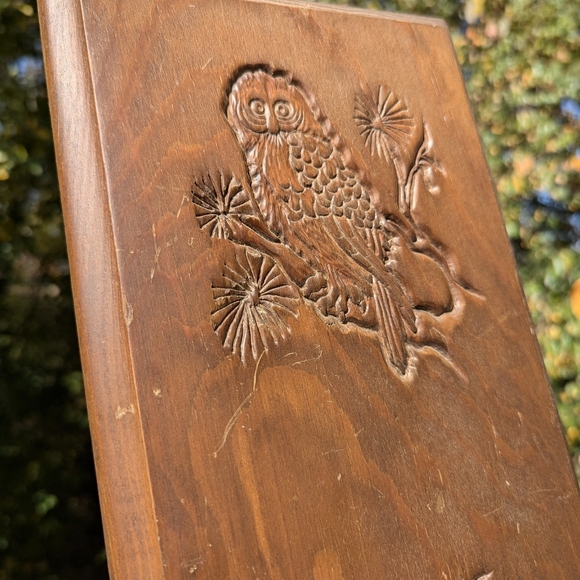 🍁 Vintage Owl Wooden Goblincore Cottage core Wall Plaque 🍁 - Picture 11 of 11